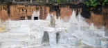 天王寺動物園に投稿された画像（2026/5/23）