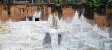 天王寺動物園に投稿された画像（2026/5/23）