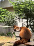 いしかわ動物園に投稿された画像（2026/5/23）