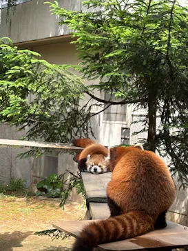 いしかわ動物園に投稿された画像（2026/5/23）