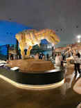 福井県立恐竜博物館に投稿された画像（2026/5/23）