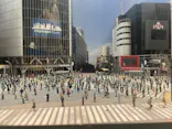 ミニチュアミュージアム スモールワールズに投稿された画像（2026/5/23）