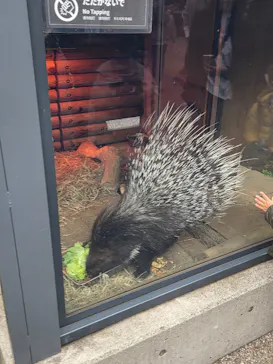 恩賜上野動物園に投稿された画像（2026/5/23）