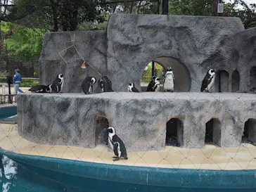 恩賜上野動物園に投稿された画像（2026/5/23）