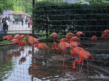 恩賜上野動物園に投稿された画像（2026/5/23）