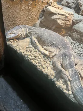 体感型動物園iZooに投稿された画像（2026/5/23）