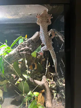 体感型動物園iZooに投稿された画像（2026/5/23）
