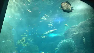 新江ノ島水族館に投稿された画像（2026/5/23）
