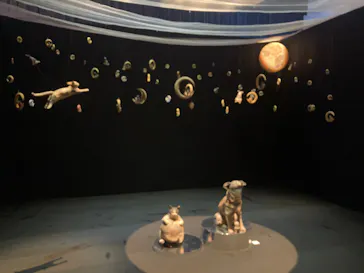 はしもとみお木彫展 いきものたちとの旅（氷見市芸術文化館）に投稿された画像（2026/5/23）