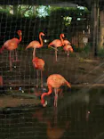 恩賜上野動物園に投稿された画像（2026/5/23）