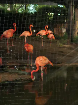 恩賜上野動物園に投稿された画像（2026/5/23）