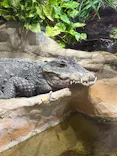 恩賜上野動物園に投稿された画像（2026/5/23）