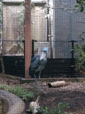 恩賜上野動物園に投稿された画像（2026/5/23）