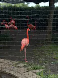 恩賜上野動物園に投稿された画像（2026/5/23）