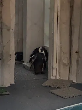 恩賜上野動物園に投稿された画像（2026/5/23）