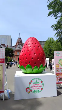 札幌ストロベリーフェスティバル2026に投稿された画像（2026/5/23）