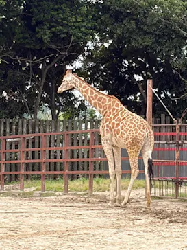 東武動物公園に投稿された画像（2026/5/23）