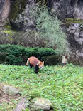 多摩動物公園に投稿された画像（2026/5/23）