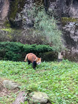 多摩動物公園に投稿された画像（2026/5/23）