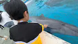 南知多ビーチランド＆南知多おもちゃ王国に投稿された画像（2026/5/23）