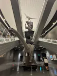 福井県立恐竜博物館に投稿された画像（2026/5/23）