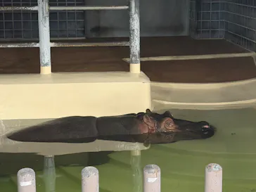 恩賜上野動物園に投稿された画像（2026/5/23）
