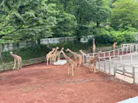 多摩動物公園に投稿された画像（2026/5/23）