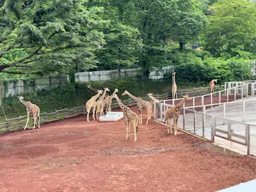 多摩動物公園に投稿された画像（2026/5/23）