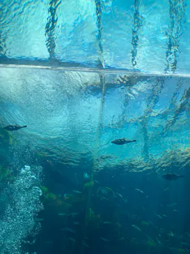 環境水族館アクアマリンふくしまに投稿された画像（2026/5/23）