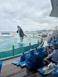 鴨川シーワールドに投稿された画像（2026/5/24）