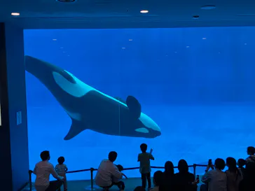 名古屋港水族館に投稿された画像（2026/5/23）