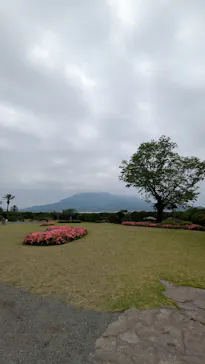 仙巌園に投稿された画像（2026/5/24）