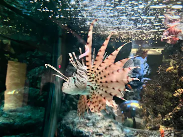 名古屋港水族館に投稿された画像（2026/5/24）