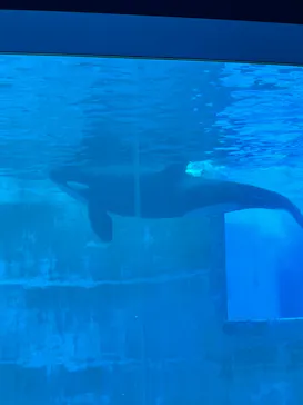 名古屋港水族館に投稿された画像（2026/5/24）
