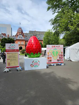 札幌ストロベリーフェスティバル2026に投稿された画像（2026/5/24）