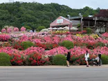 ぎふワールド・ローズガーデンに投稿された画像（2026/5/24）