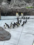 葛西臨海水族園に投稿された画像（2026/5/24）