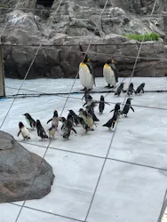 葛西臨海水族園に投稿された画像（2026/5/24）