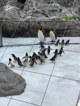 葛西臨海水族園に投稿された画像（2026/5/24）