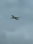 航空科学博物館に投稿された画像（2026/5/24）