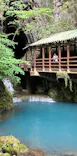 秋芳洞に投稿された画像（2026/5/24）