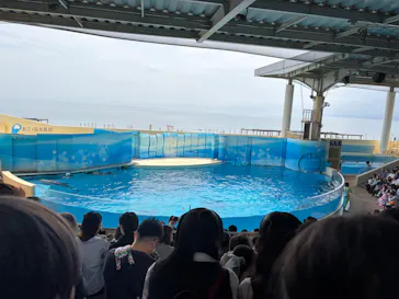 新江ノ島水族館に投稿された画像（2026/5/24）