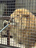 宇都宮動物園に投稿された画像（2026/5/24）
