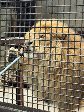 宇都宮動物園に投稿された画像（2026/5/24）