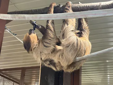 宇都宮動物園に投稿された画像（2026/5/24）