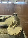 宇都宮動物園に投稿された画像（2026/5/24）