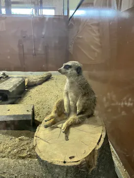 宇都宮動物園に投稿された画像（2026/5/24）