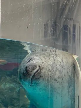 京都水族館に投稿された画像（2026/5/24）