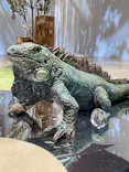 はしもとみお木彫展 いきものたちとの旅（氷見市芸術文化館）に投稿された画像（2026/5/24）