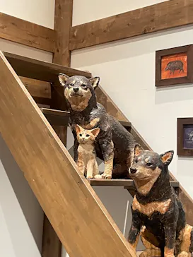 はしもとみお木彫展 いきものたちとの旅（氷見市芸術文化館）に投稿された画像（2026/5/24）